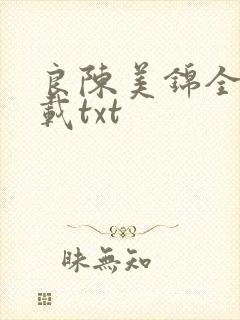 良陈美锦全本下载txt