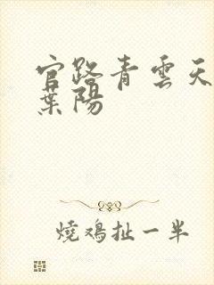 官路青云天骄,叶阳