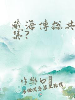 藏海传总共多少集?