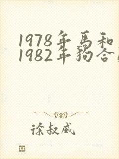 1978年马和1982年狗合财吗