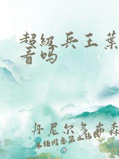 超级兵王叶谦好看吗