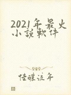2021年最火小说软件