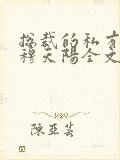 总裁的私有宝贝穆天阳全文免费阅读