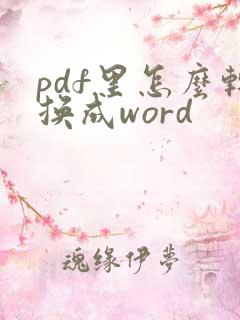 pdf里怎么转换成word