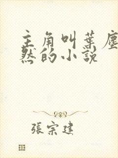 主角叫叶尘纪欣然的小说