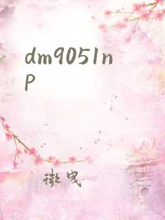 dm9051np