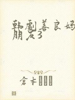 韩剧善良妈妈的朋友3