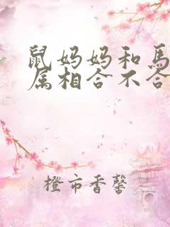 鼠妈妈和马宝宝属相合不合