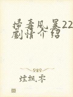 扫毒风暴22集剧情介绍