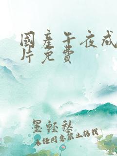 国产午夜成年看片免费