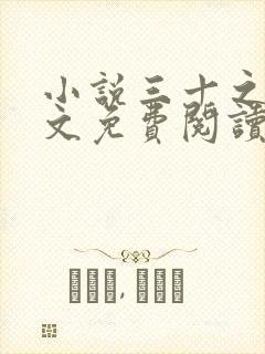 小说三十之妻全文免费阅读