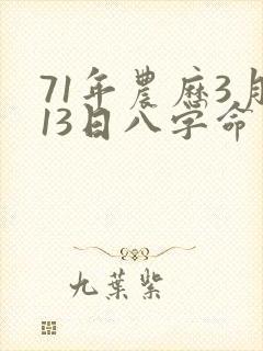 71年农历3月13日八字命运