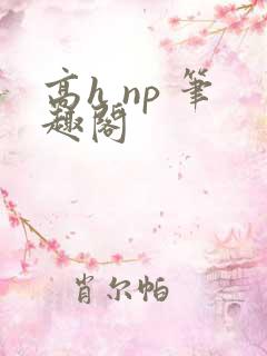 高h np 笔趣阁