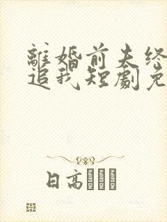 离婚前夫终是想追我短剧免费观看