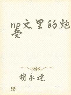 np文里的炮灰受