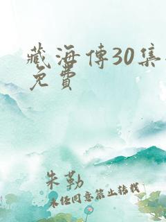 藏海传30集全免费