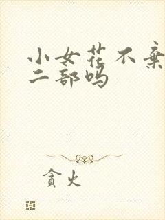 小女花不弃有第二部吗
