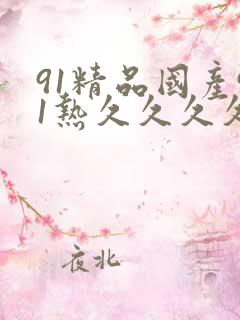 91精品国产91热久久久久福利