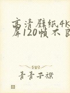 高清壁纸4k全屏120帧不良人