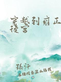 穿越到雍正极品后宫