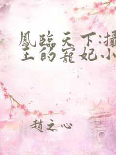 凤临天下:摄政王的宠妃小说小说