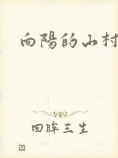 向阳的山村小说