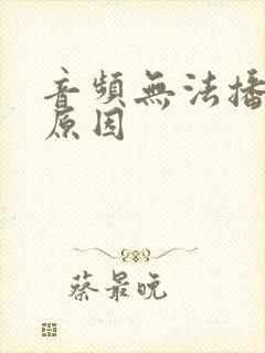 音频无法播放的原因