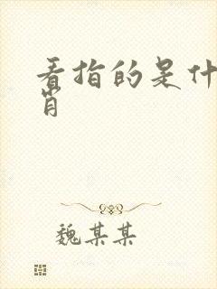 看指的是什么生肖