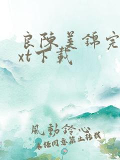 良陈美锦完本txt下载