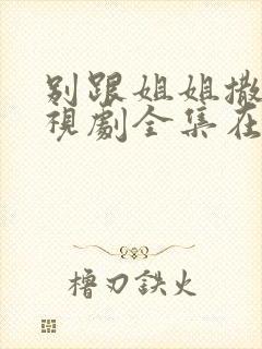 别跟姐姐撒野电视剧全集在线免费观看