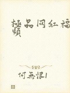 极品网红福利视频