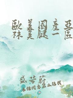 欧美国产亚洲丝袜美腿一区