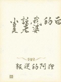 小说,我的白富美老婆