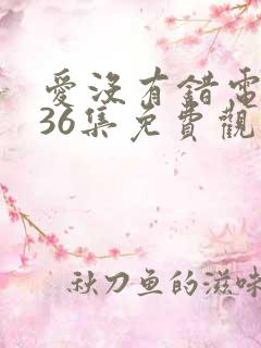 爱没有错电视剧36集免费观看