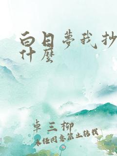 白日梦我抄袭了什么