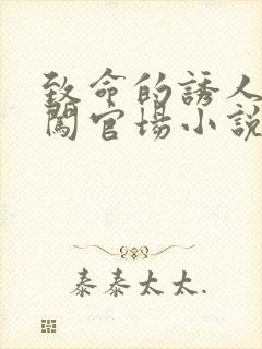 致命的诱人校花闯官场小说全文阅读
