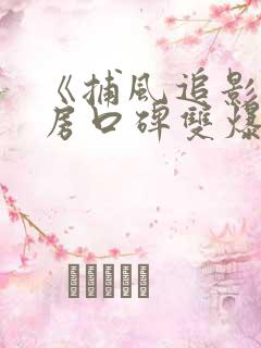 《捕风追影》票房口碑双爆