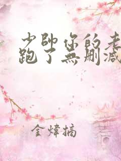 少帅你的老婆又跑了无删减版