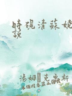 时砚清苏娆的小说