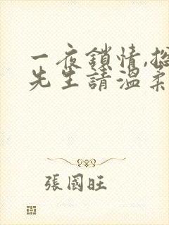 一夜锁情,总裁先生请温柔全文阅读全文