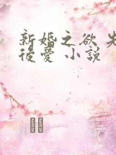 新婚之欲 先婚后爱 小说
