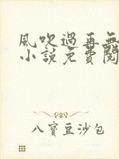 风吹过再无归期小说免费阅读