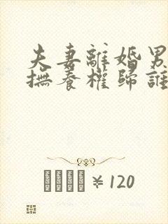 夫妻离婚男孩子抚养权归谁