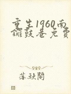 重生1960南锣鼓巷免费阅读