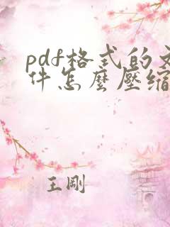 pdf格式的文件怎么压缩大小