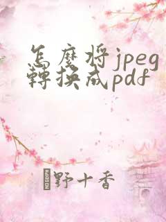 怎么将jpeg转换成pdf