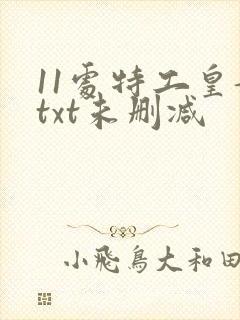 11处特工皇妃txt未删减