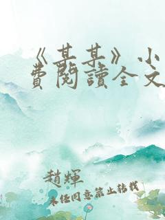 《某某》小说免费阅读全文