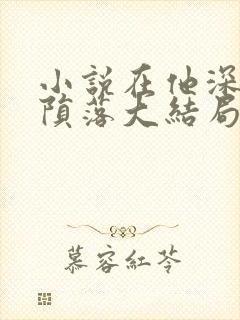 小说在他深情中陨落大结局