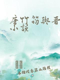 唐竹筠与晋王的小说